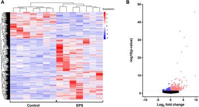 Insight Into the Metabolic Adaptations of Electrically Pulse-Stimulated Human Myotubes Using Global Analysis of the Transcriptome and Proteome